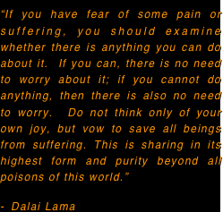 “If you have fear of some pain or suffering, you should examine whether there is anything you can do about it.  If you can, there is no need to worry about it; if you cannot do anything, then there is also no need to worry.  Do not think only of your own joy, but vow to save all beings from suffering. This is sharing in its highest form and purity beyond all poisons of this world.” 
Dalai Lama