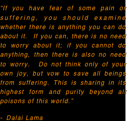 “If you have fear of some pain or suffering, you should examine whether there is anything you can do about it.  If you can, there is no need to worry about it; if you cannot do anything, then there is also no need to worry.  Do not think only of your own joy, but vow to save all beings from suffering. This is sharing in its highest form and purity beyond all poisons of this world.” 
Dalai Lama